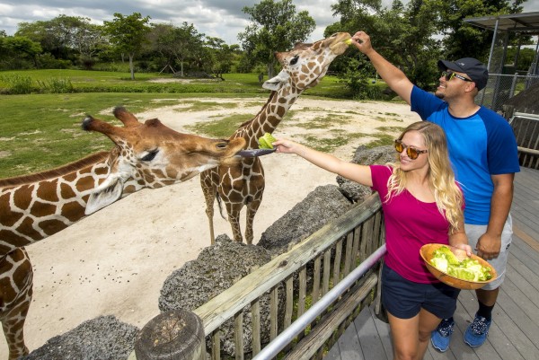 Zoo Miami Admission - Skip the Line