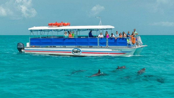 Dolphin Watch & Snorkel Key West Sunset Cruise