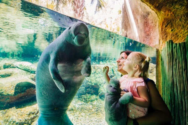 Tampa's ZooQuarium Admission